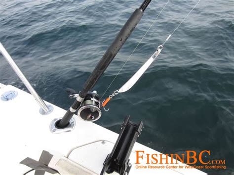 ugly fish|Halibut Rod/Reel Suggestions .